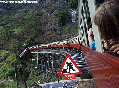 tren.jpg