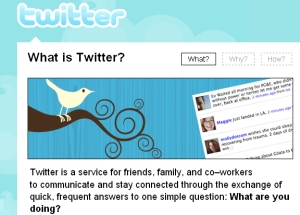 twitter2.jpg