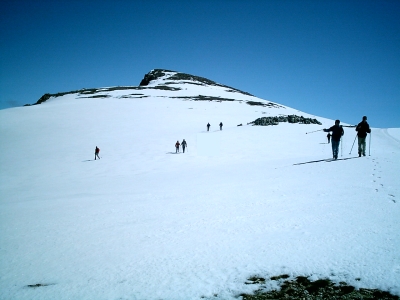 colilla